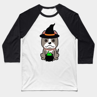 Cute grey dog is a witch Baseball T-Shirt